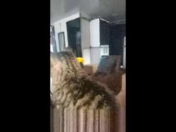 engel_devil webcam model stream image