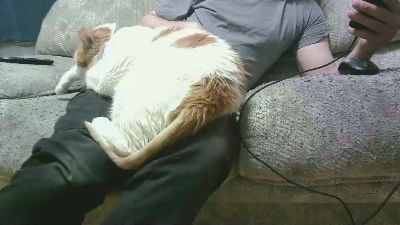 batmike webcam cam4 model stream image