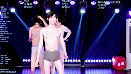 AOA-MIC webcam model stream image