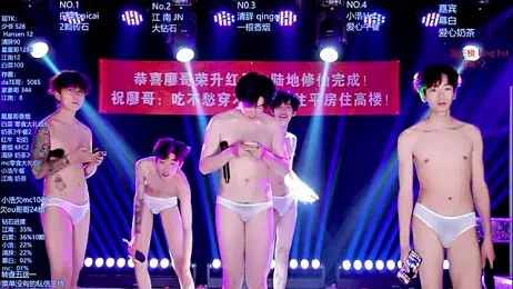AOA-MIC webcam model stream image