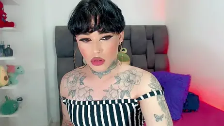 little_star_porn webcam model stream image