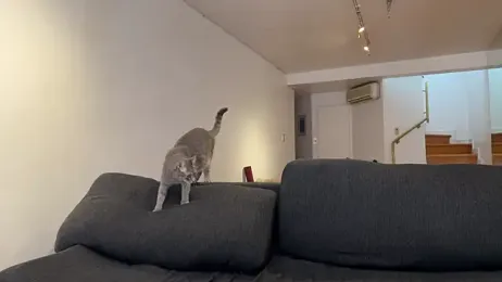 lenruy webcam model stream image