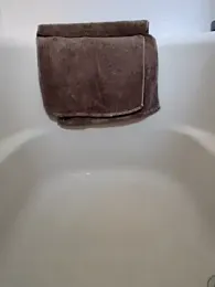 lioncake1221 webcam model stream image