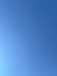 dong_ webcam model stream image