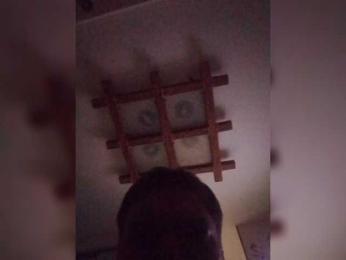 VinPyh webcam model stream image
