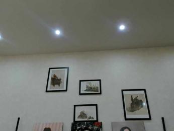 dolly-ll webcam model stream image