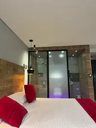 zui_lu webcam model stream image