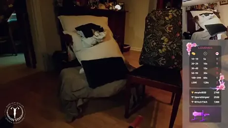 Borealisatelier webcam model stream image