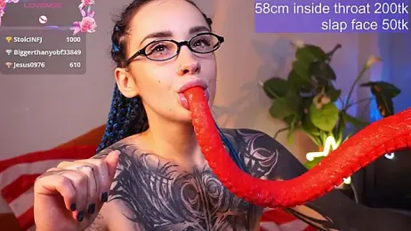 EvaCanton webcam model stream image