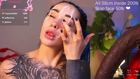 EvaCanton webcam model stream image