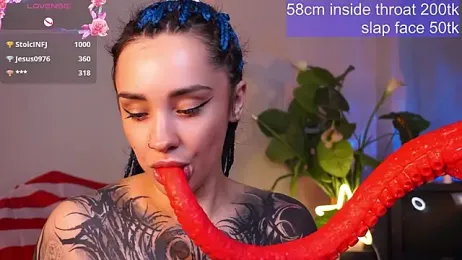 EvaCanton webcam model stream image