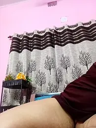 Gullapi webcam model stream image