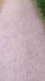 fox6900 webcam model stream image