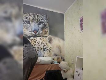 KittyTempreXXX webcam model stream image