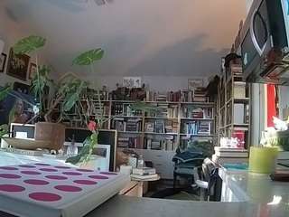 voyeurcam-bridgetleewalters-02 webcam model stream image