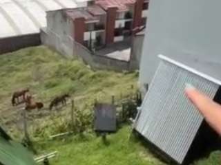 imrebecca webcam model stream image