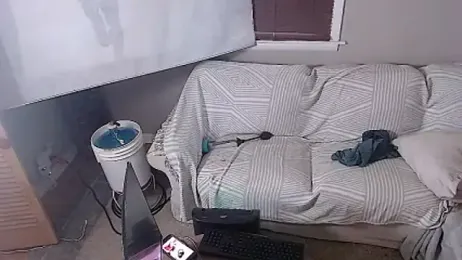studlyhardwoodd webcam stripchat model stream image