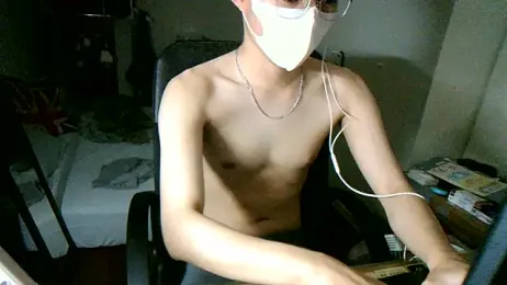 max5388 webcam model stream image