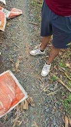 Tania__honey webcam cam4 model stream image