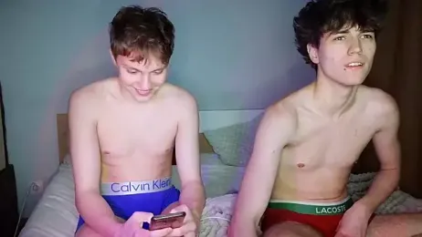 1gay1straight webcam model stream image