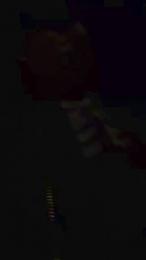 nightTnight webcam model stream image