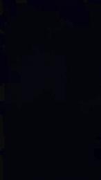 nightTnight webcam model stream image