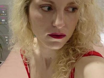 Visbee webcam model stream image