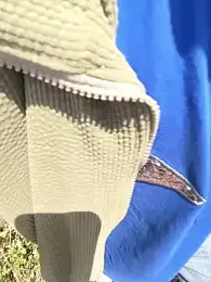 Yassir-xxxl webcam model stream image