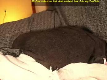 mr_evans_official webcam model stream image