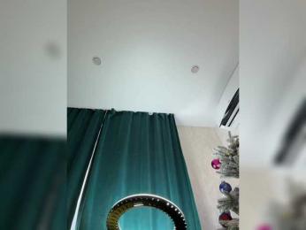 Ellidi webcam model stream image