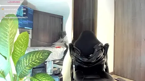 Dimitri_Bass webcam model stream image