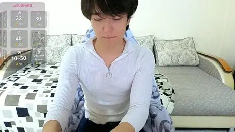 DianInav webcam model stream image