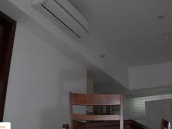 belle_adrienne webcam chaturbate model stream image