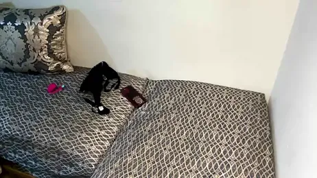 Marocainecoquine webcam model stream image
