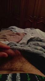 davidof3127 webcam cam4 model stream image