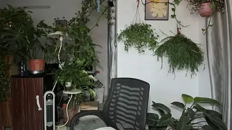 Oliver_Nl webcam model stream image