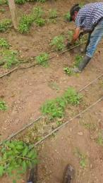 jo23_xxx webcam cam4 model stream image