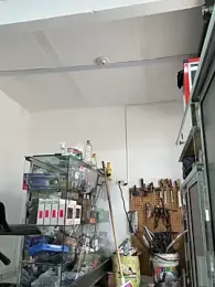 Paul22cm- webcam stripchat model stream image