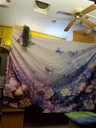 annika_lately webcam stripchat model stream image