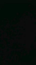 Strubi webcam model stream image