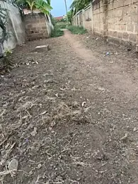 Black-mamba-madingo webcam stripchat model stream image