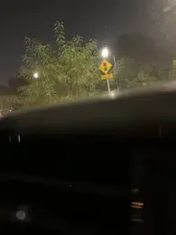 ori6 webcam model stream image