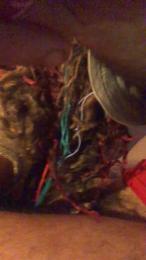 HeRmETiCoo webcam model stream image