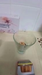 Falisan webcam model stream image