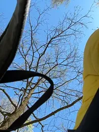 Sony28v webcam model stream image