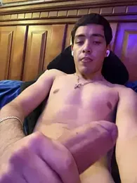 TuPapiChulo2026 webcam model stream image