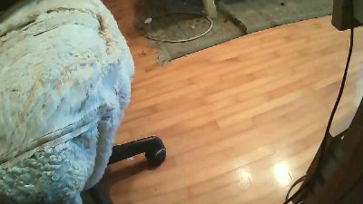 Castoro9 webcam model stream image