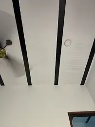 Eva_stark10 webcam model stream image