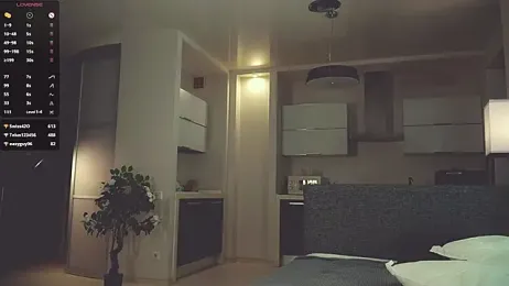 SanySenise webcam model stream image