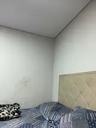 AMORINHA_S2_ webcam model stream image